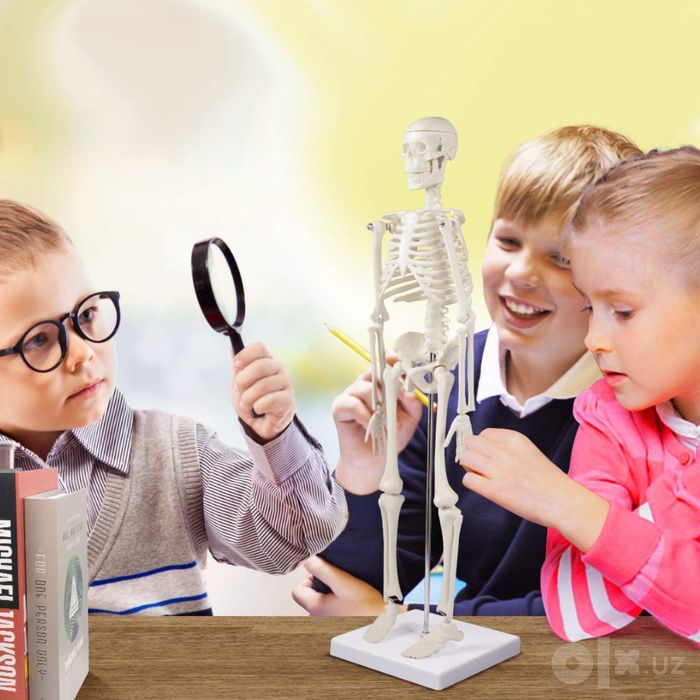 Repetitor Biologiya Kimyo Milliy sertifikat Attestatsiya