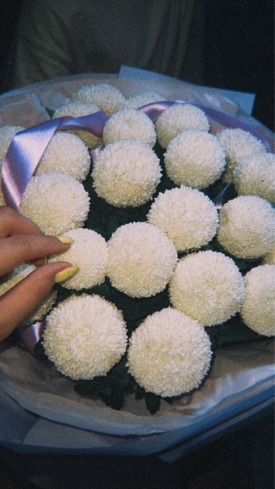 Те самые рафаэлки-момоко