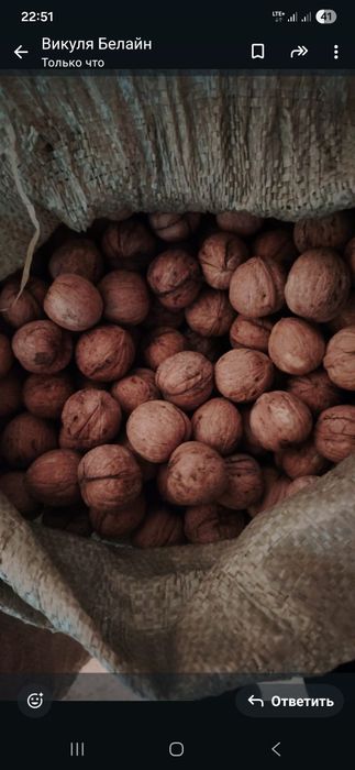 Продам грецкие орехи 1000тг 1 кг