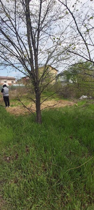 Teren intravilan 845 mp, str. Capricornului, Domnesti - Ilfov