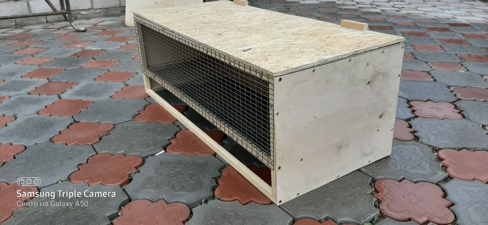 Брудер для цыплят, перепелят.