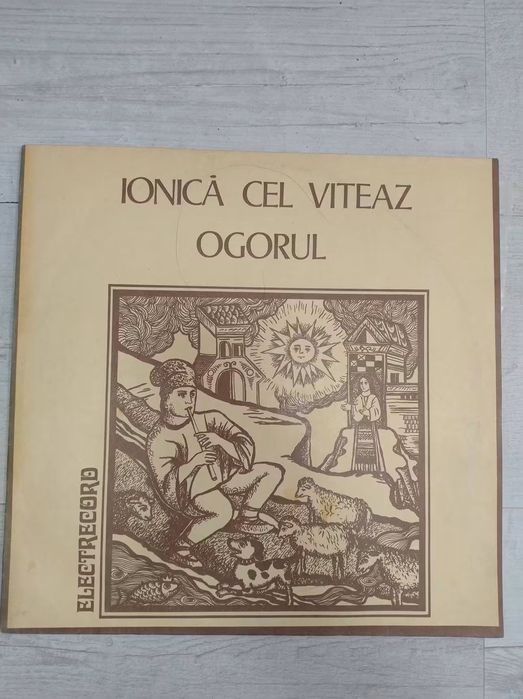 Lot discuri vinil