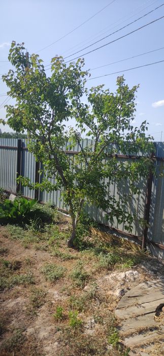 Продам дом не дорого торг есть