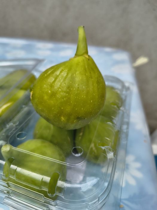 Smochine, borcane pentru legume
