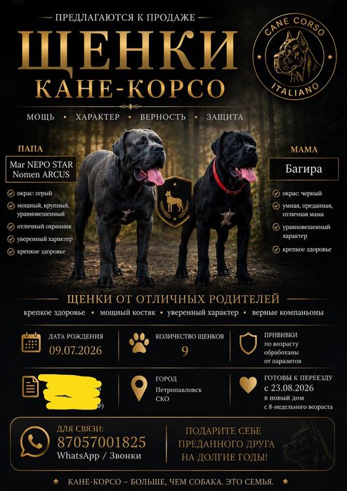 Кане Корсо Cane Corso Italiano
