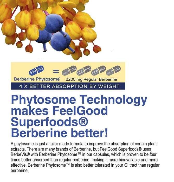 Berberine Phytosome Берберин Фитосомы 120 капсулы