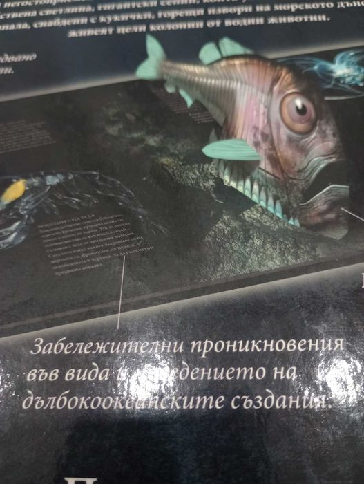 "В дълбините на океана"