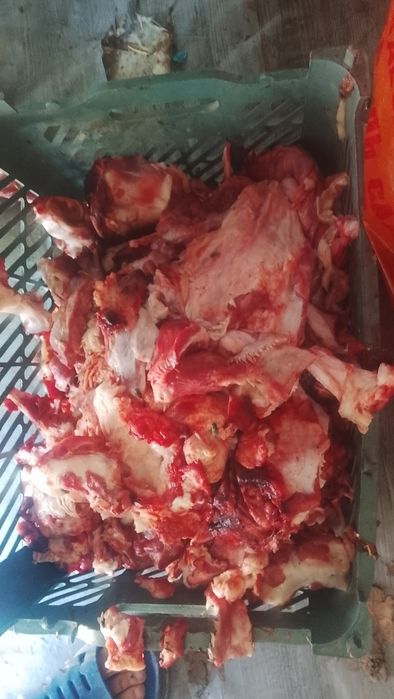 Продам обрезь для собак