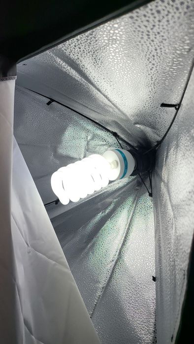 Софтбокс + лампа