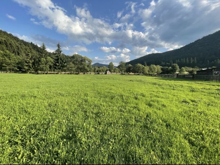 Pamant i travilan Brodina