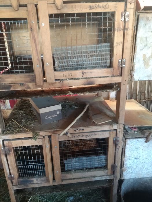 Клетки для кроликов !
