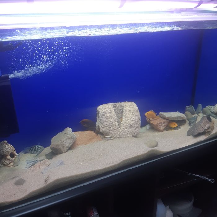 Светильник для аквариума травника 60w