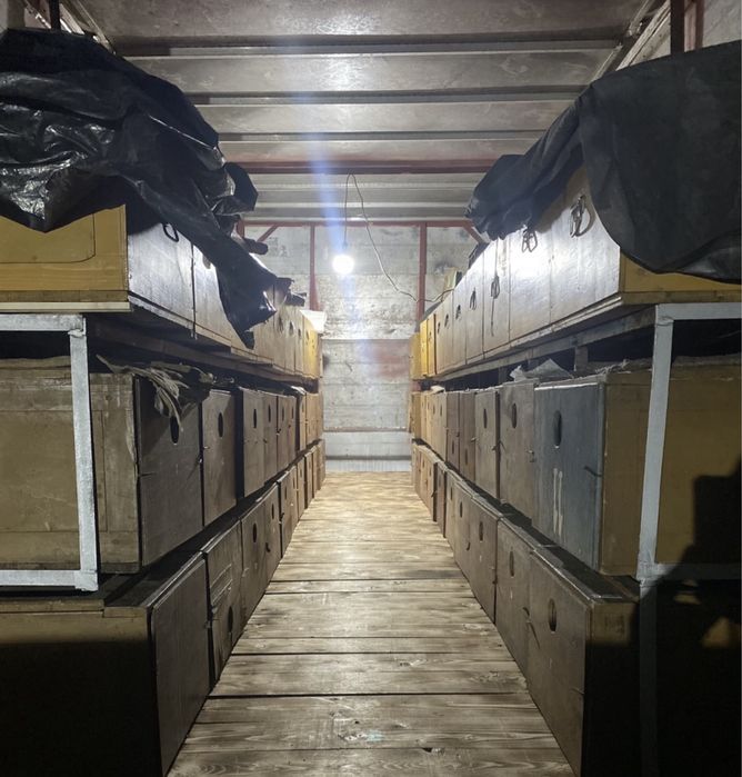 Mercedes Atego 815 Omologat Apicol