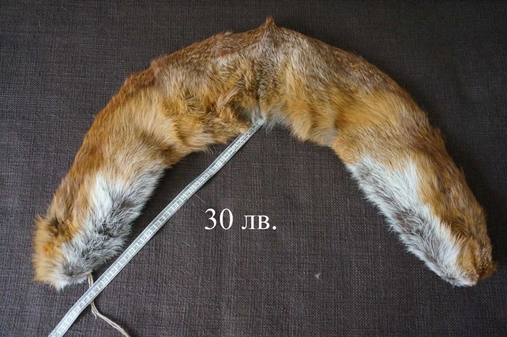 кожена яка   лисици  норки
