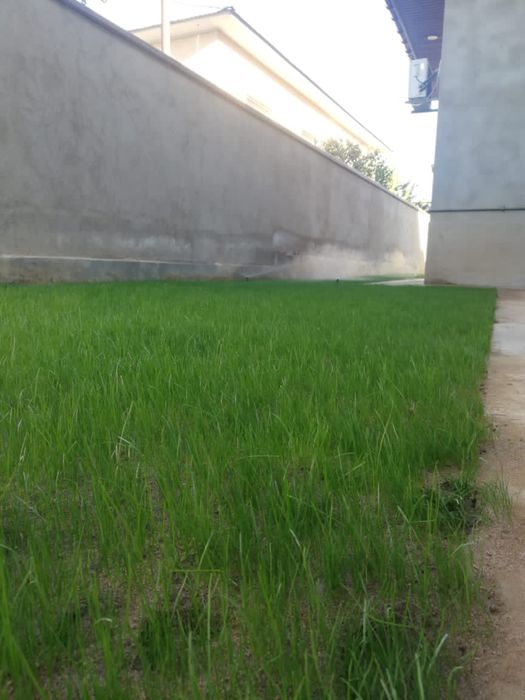 Автополив и Газон