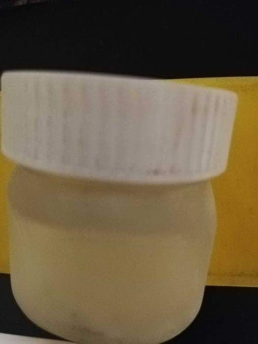 Donez ciupercă Reishi ptr chefir de lapte