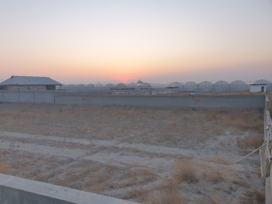 9/ so‘tix joy atrofi o‘ralgan