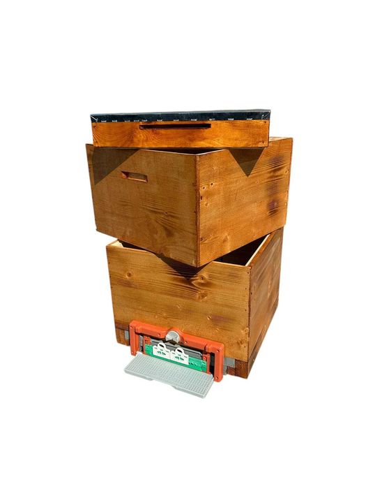 stup albine - orice model prețuri începând de la 155 lei/buc