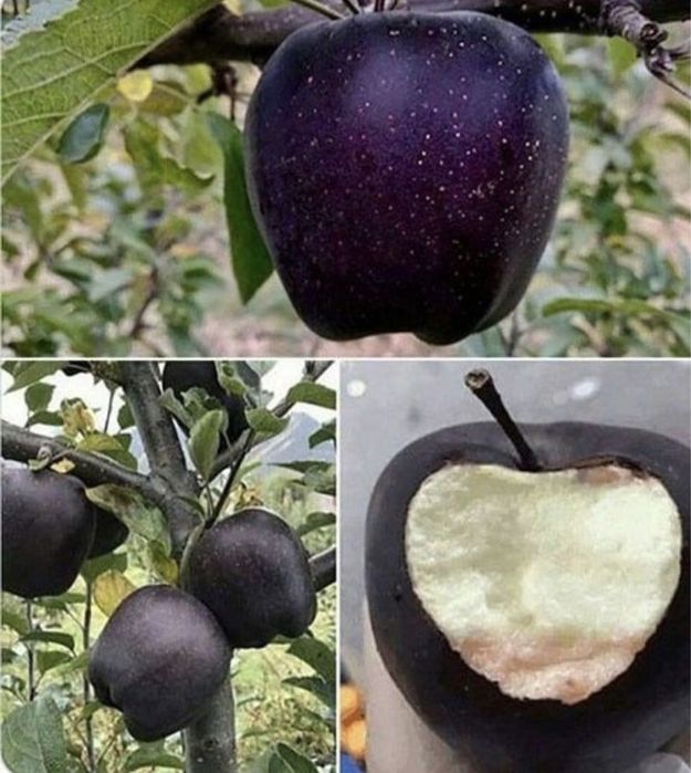 Mat black diamond