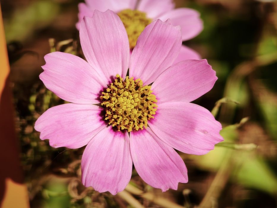 Xiaomi 15t pro обмен/продажа