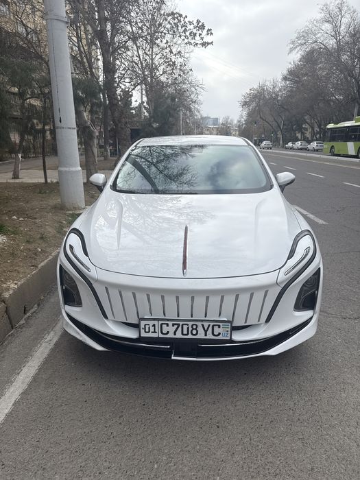 Hongqi E-QM5 sotiladi