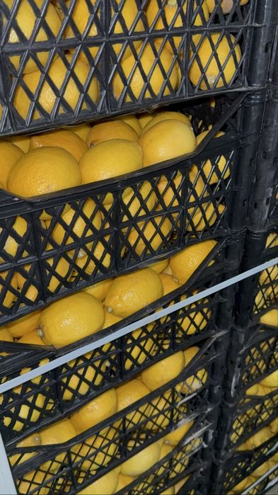 Лимон доя производства