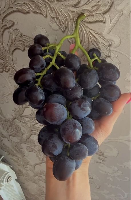 Продам виноград домашний