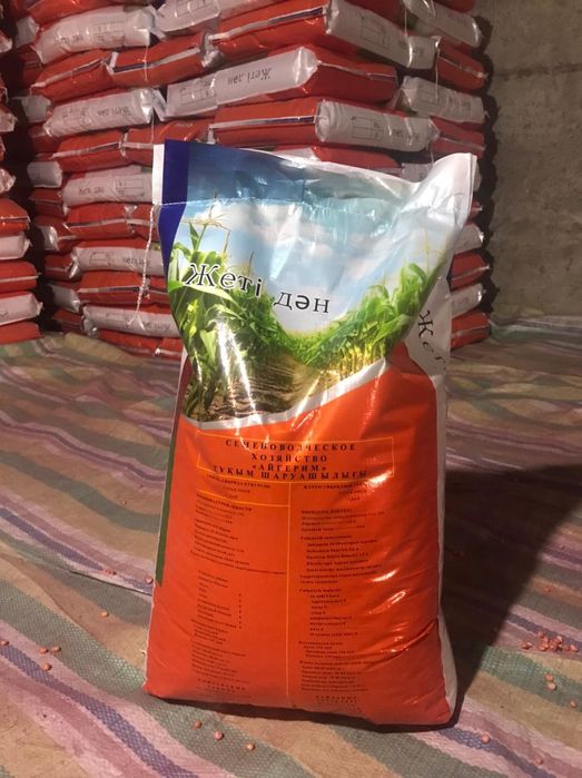 Жетілген кәрі есектер