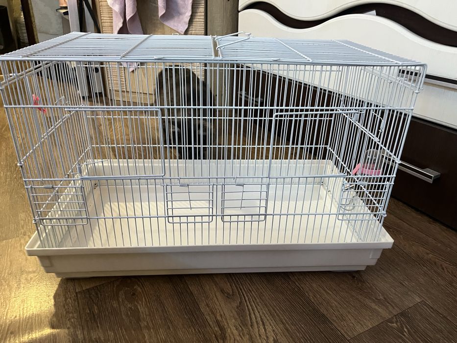 Продам доя грызунов