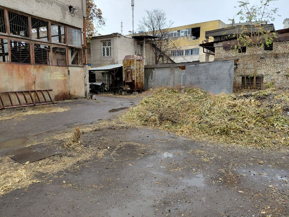 Сдаётся земля в аренду.