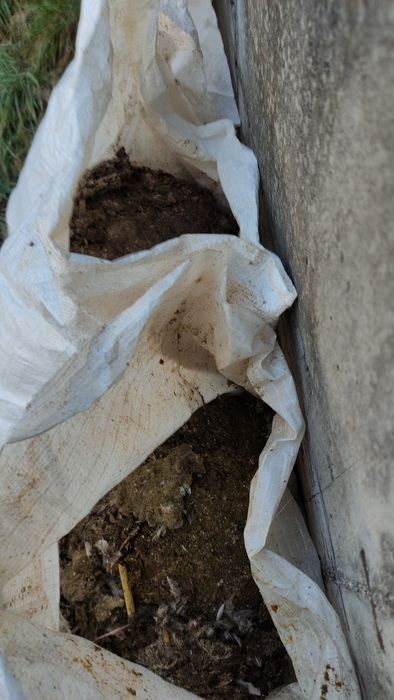 Gunoi ,,găinaț de porumbel" îngrășământ natural