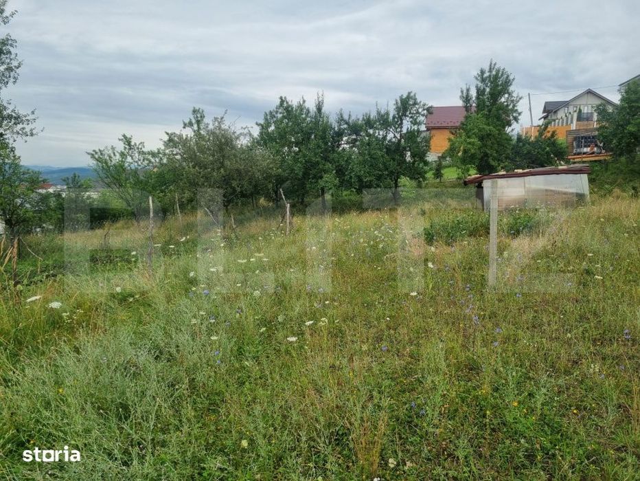 Teren 700 mp cu priveliste spre oras, disponibil si parcelat, Bistrita