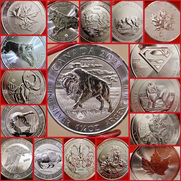 Canada Royal Mint RCM monede lingou argint 999