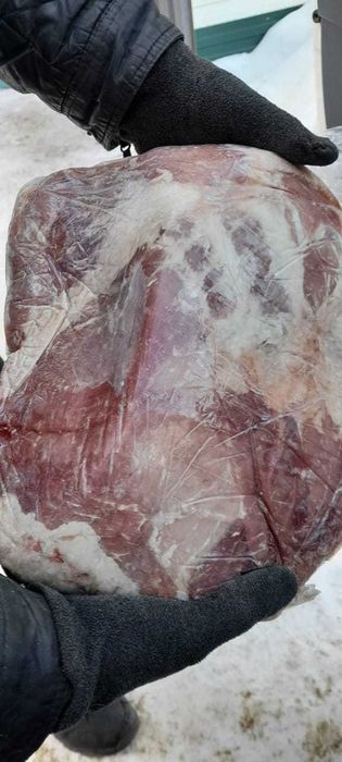 Продам мясо свинина