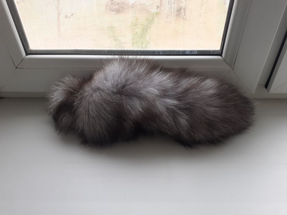 Құндыздың құйрығы сувинерге