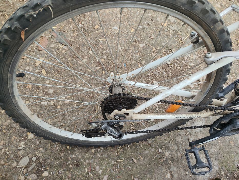 Bicicleta de dama la schimb cu animale , capră,iede,miele.etc