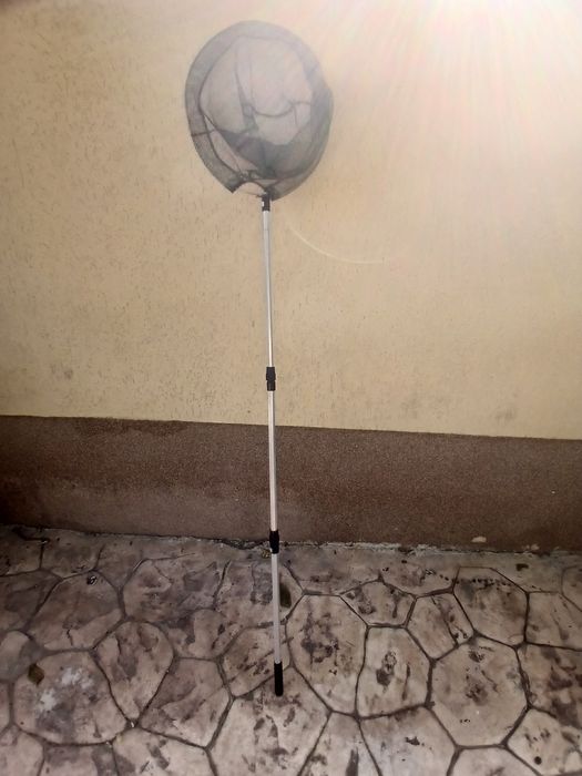 Lansete;rod pod;minciog;scaun