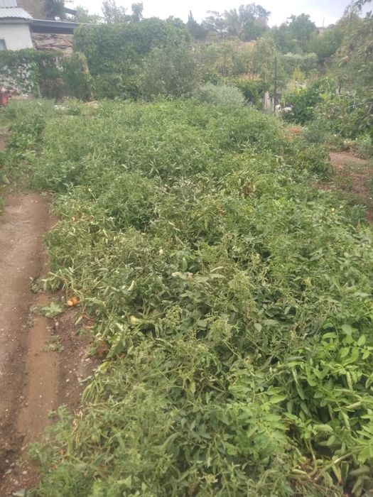 Дача в ТЭЦ 1 в хорошем состоянии