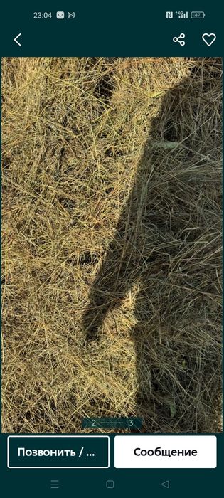 Продам сено луговое