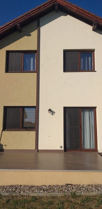 Executām plase anti insecte