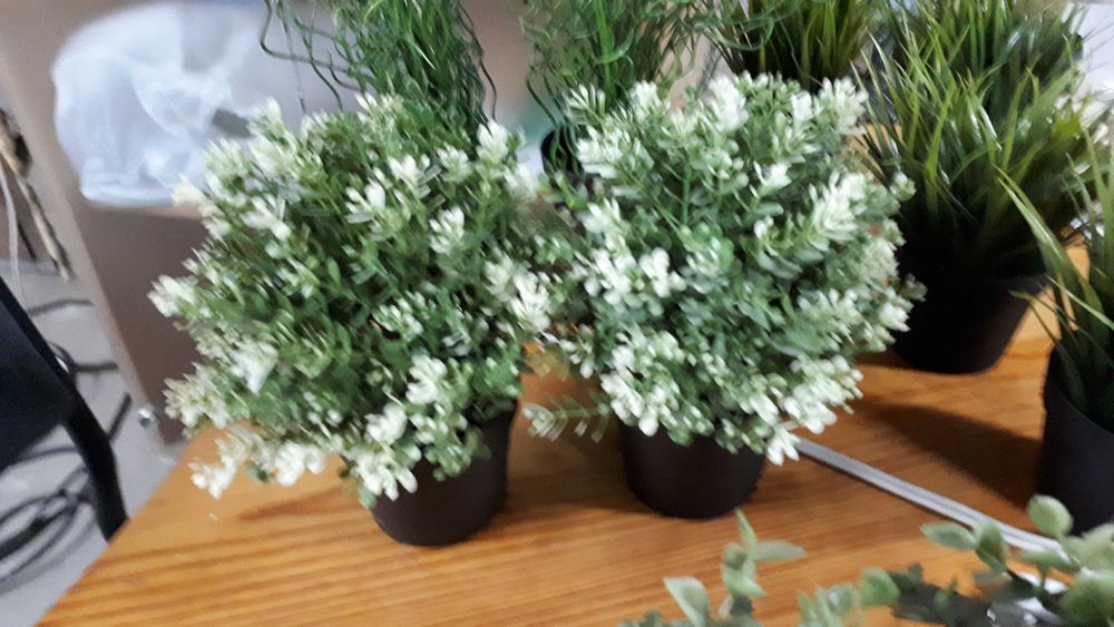 Продам искусственные растения ИКЕА