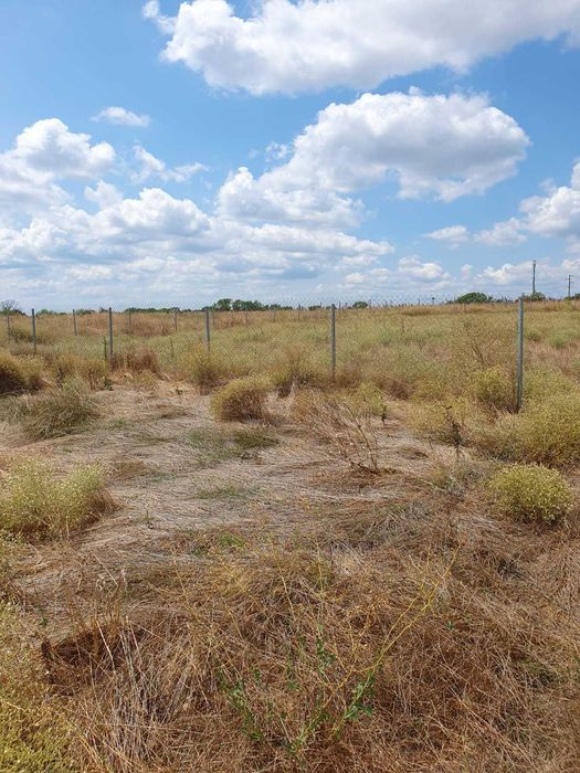 Продава се Парцел в с. Близнаци, Област Варна - 2428 кв.м за 25 €/кв.м - Снимка #2