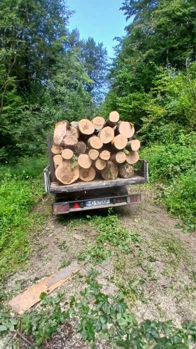 Lemn de foc Fag !! Tot judetul !!! Cele mai bune preturi !!