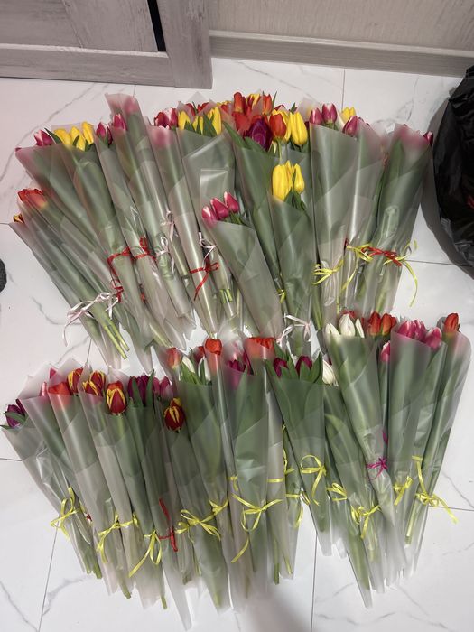 Местные тюльпаны город Астана