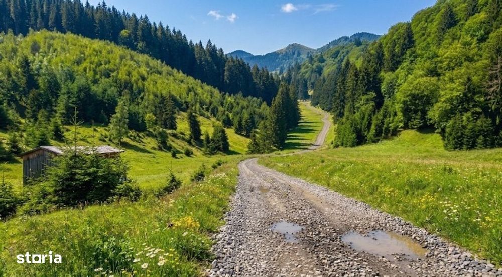 Poiana Brașov, Teren intravilan 2.763 mp , utilitati, Str. Stânii,