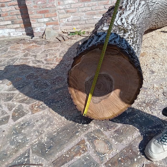 Tulpină NUC, lungime 2,5m