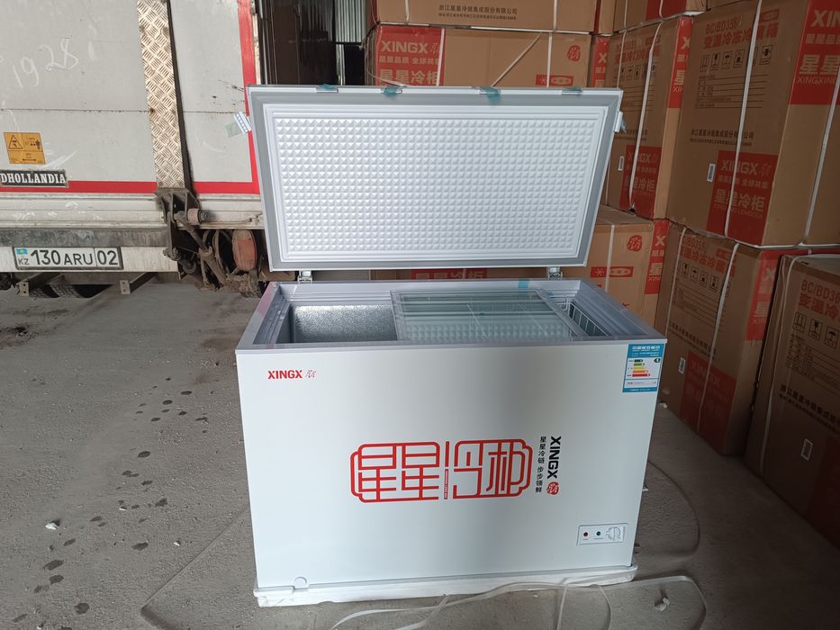 Морозильник Лар дефектами Мороз.  Хинг