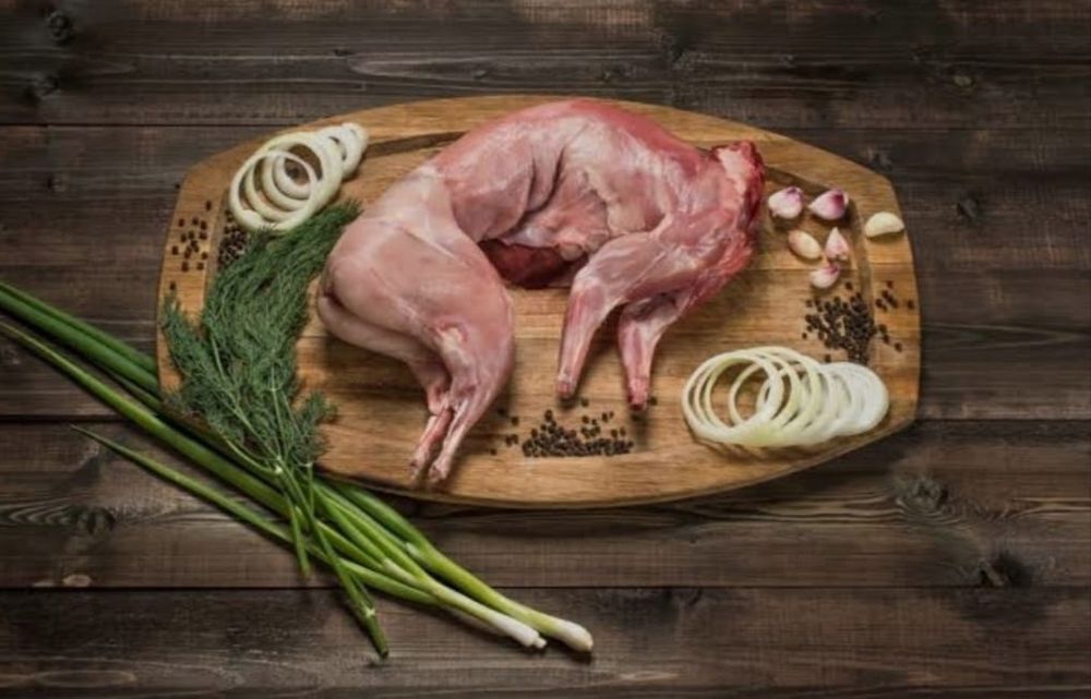 Продам мясо кролика