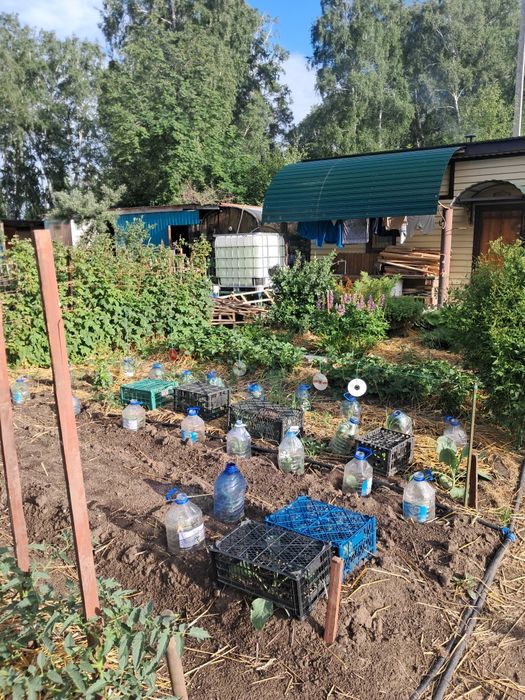 Продам дачу со Горизонт