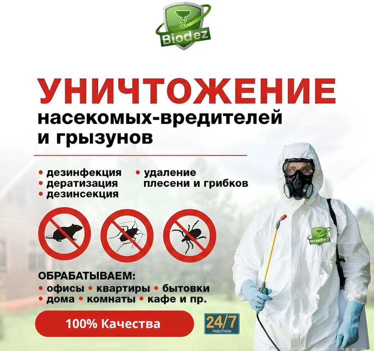 Дезинфекция и дезинсекция: тараканы, клопы, клещи, блохи, моль, крысы,